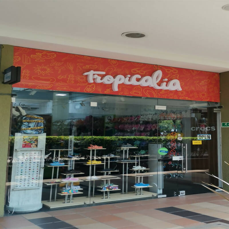 Tropicalia Zazue