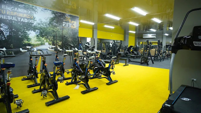 FIT 3