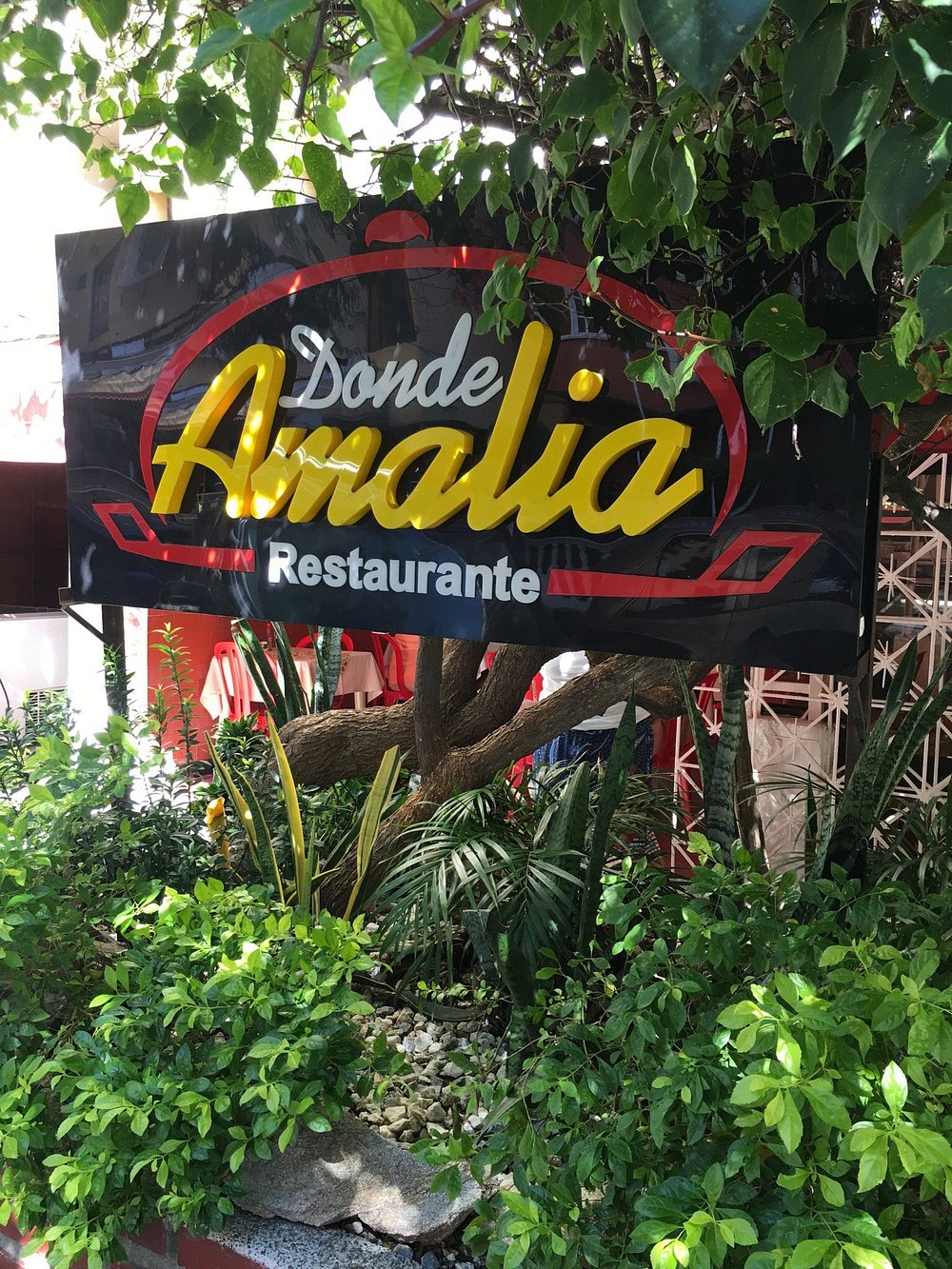 Donde Amalia