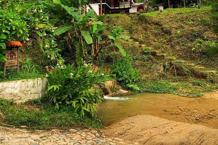 MINCA TOUR - Explora cascadas y conoce el origen del cafe