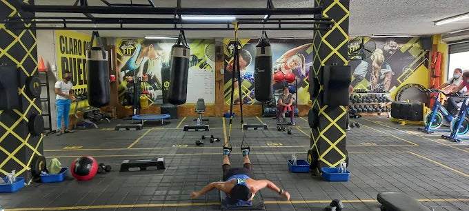 Alextrainer Santa Marta